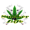 https://smokerforlife.com/wp-content/uploads/2023/10/cropped-logo-Rx-2-1.png